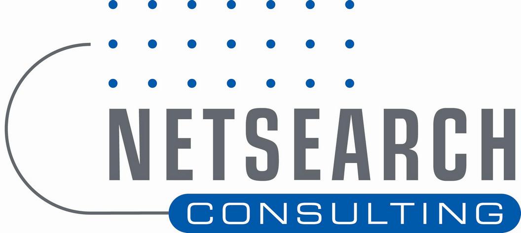 NETSEARCH Consulting