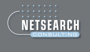 netsearch-consulting